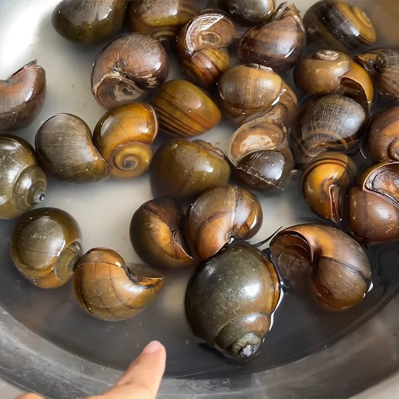 Step 1 Preparing the Snails Grilled Snails with Lemongrass and Spicy Fish Sauce