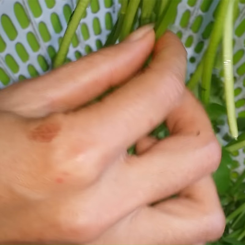 Step 1 Prepare the water celery for stir-fried water celery with beef