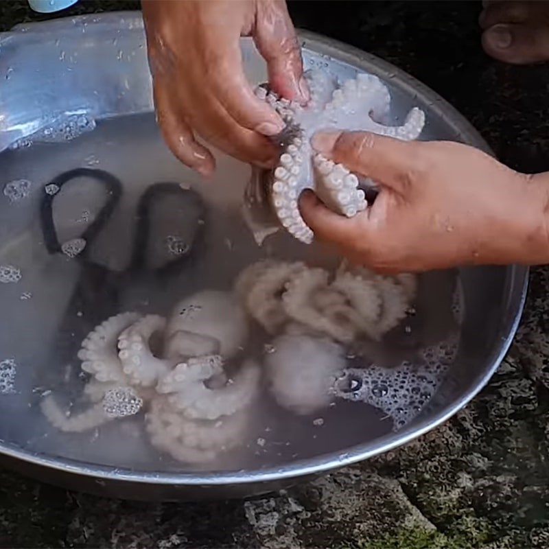 Step 1 Prepare the octopus Mixed Stir-fried Octopus