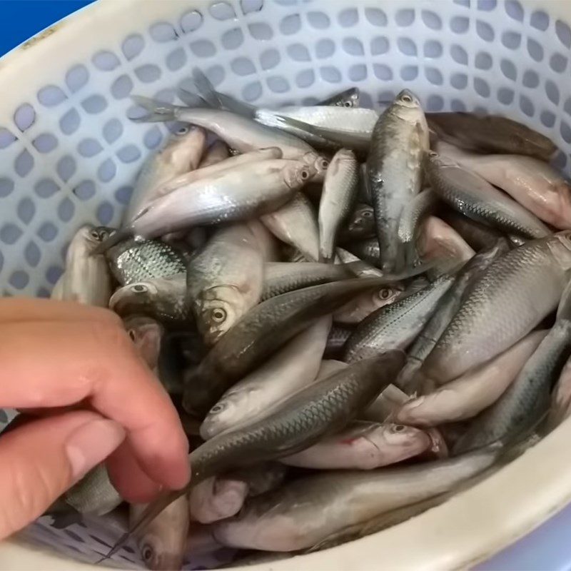 Step 1 Prepare the fish for Fish Sauce from Linh Fish