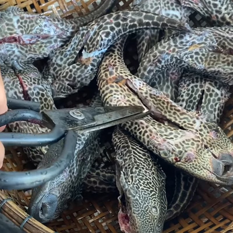 Step 1 Prepare the fish for Steamed Glass Catfish with Lemongrass
