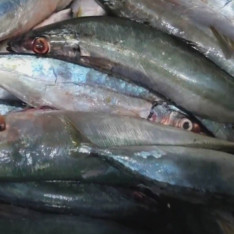 Step 1 Prepare mackerel for Mackerel Fish Sauce