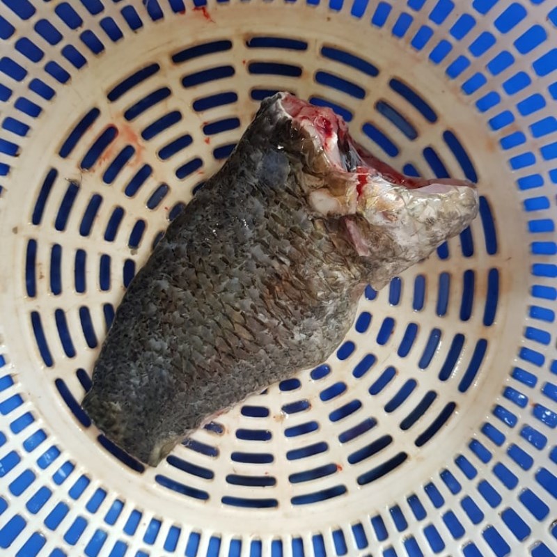 Step 1 Preparing Freshwater Fish for Fish Soup