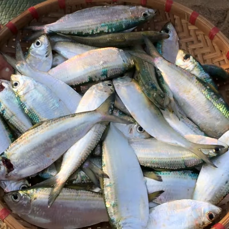 Step 1 Prepare mackerel for Nam O Fish Salad in Da Nang