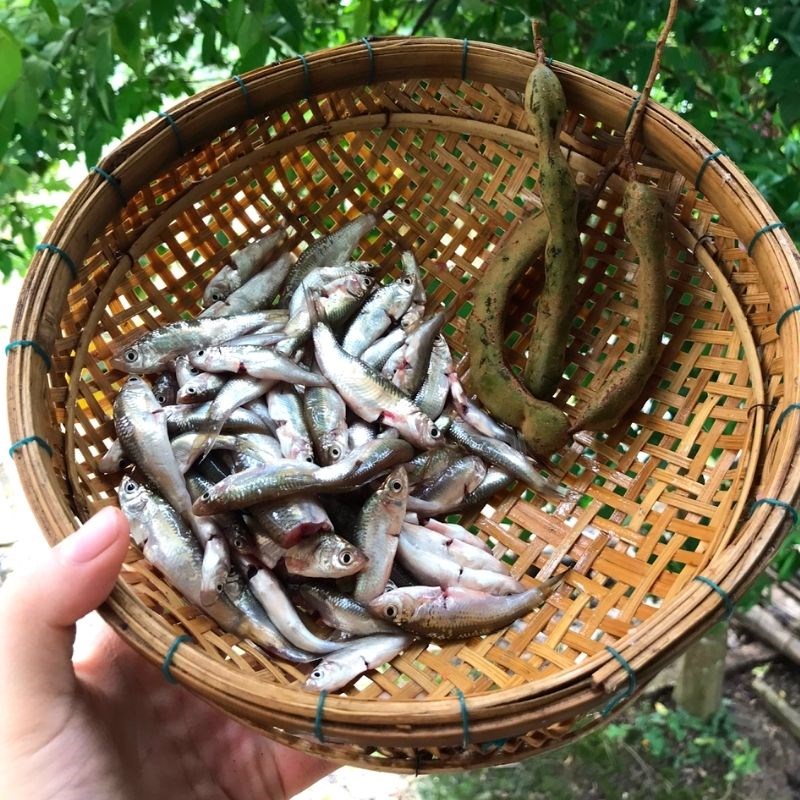 Step 1 Prepare the ingredients for Braised fish with tamarind