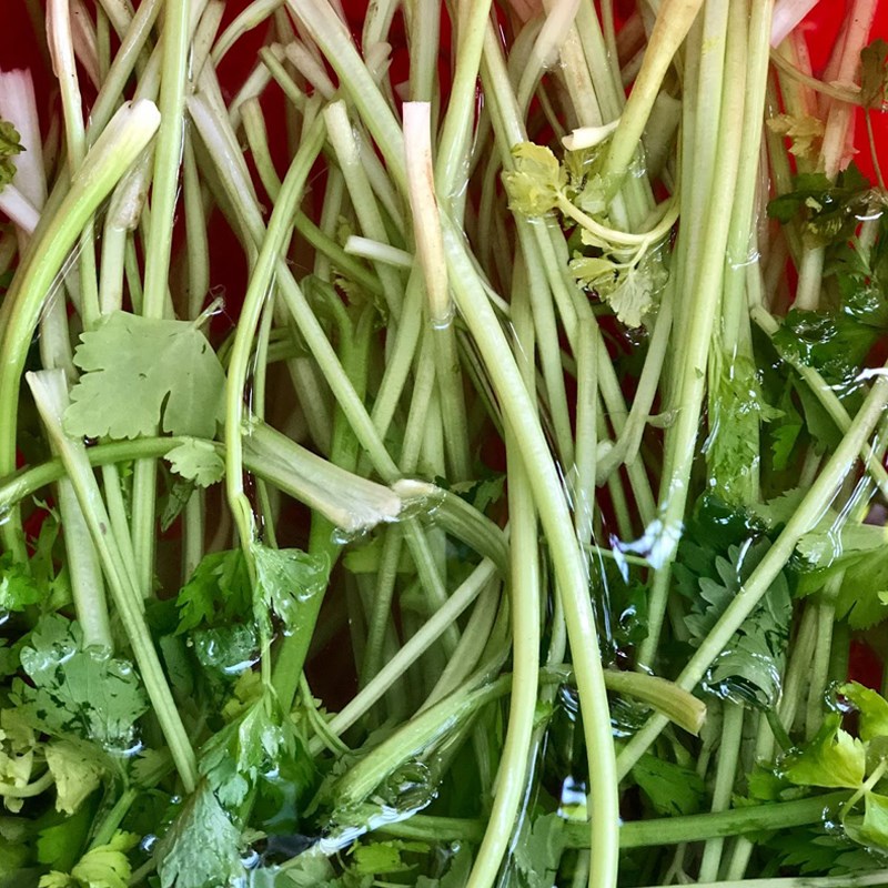 Step 1 Prepare the celery for Celery Apple Juice