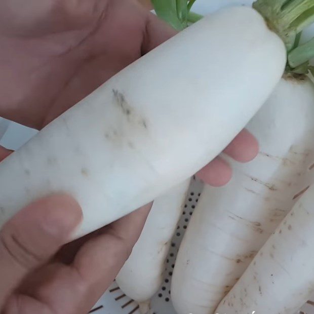 Step 1 Prepare the white radish Sweet and Sour Pickled Radish