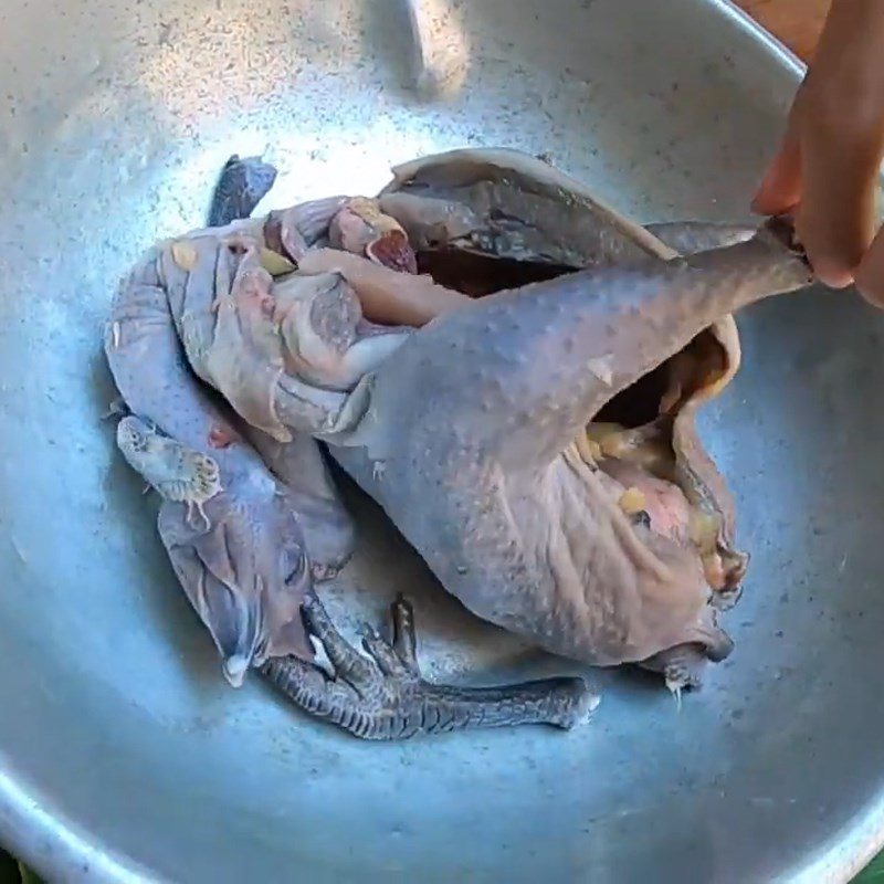 Step 1 Prepare black chicken Grilled black chicken with salt and chili