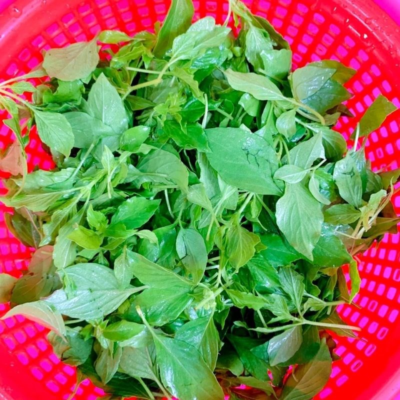 Step 2 Prepare the Vietnamese balm leaves for Chicken Noodles with Vietnamese Balm