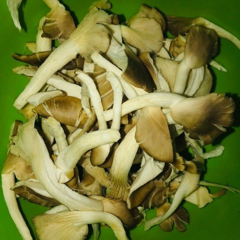 Step 1 Prepare oyster mushrooms for Stir-fried Broccoli with Mushrooms