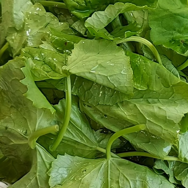 Step 1 Prepare the ingredients for vegetarian watercress salad with beef slices