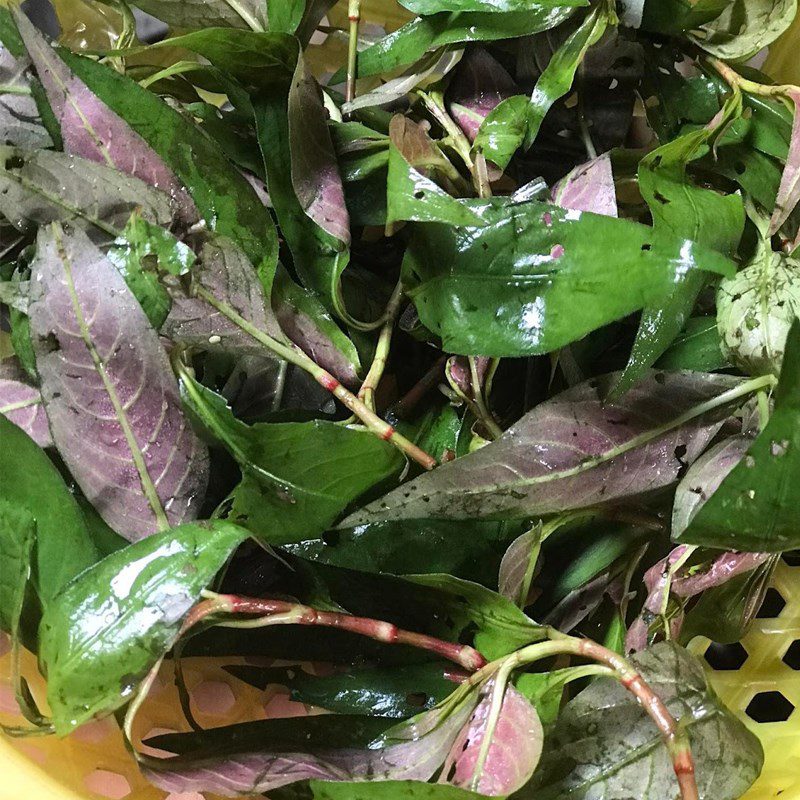 Step 1 Prepare the ingredients for Stir-fried Stomach with Vietnamese Balm