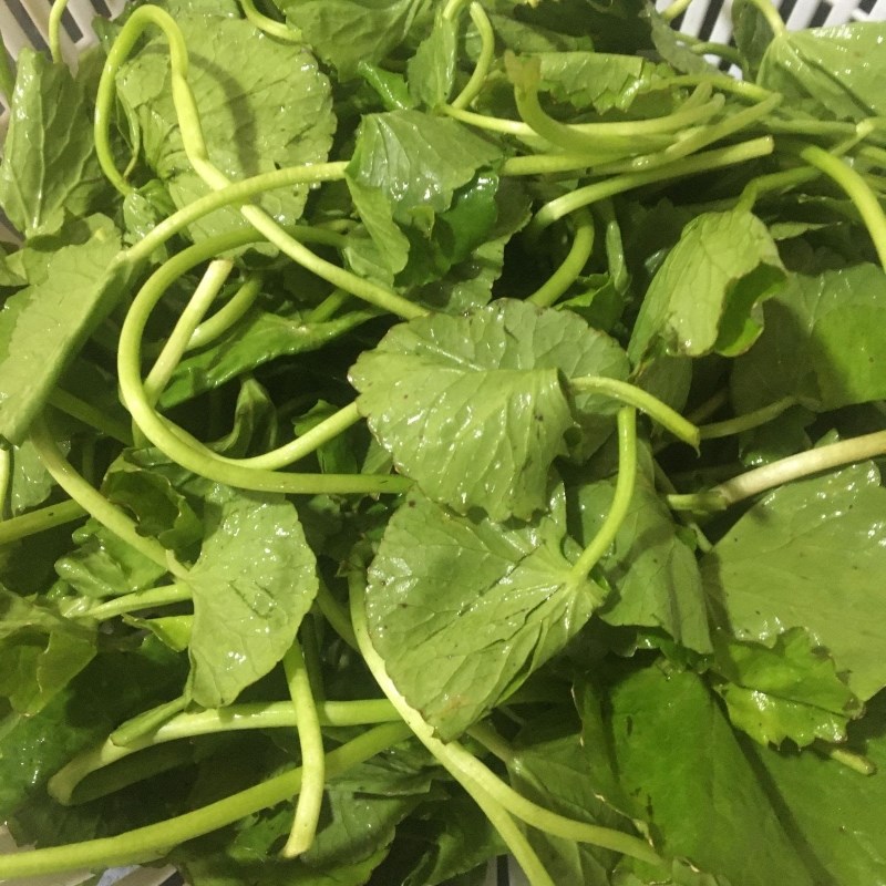 Step 1 Prepare the ingredients for Fresh Shrimp Watercress Soup