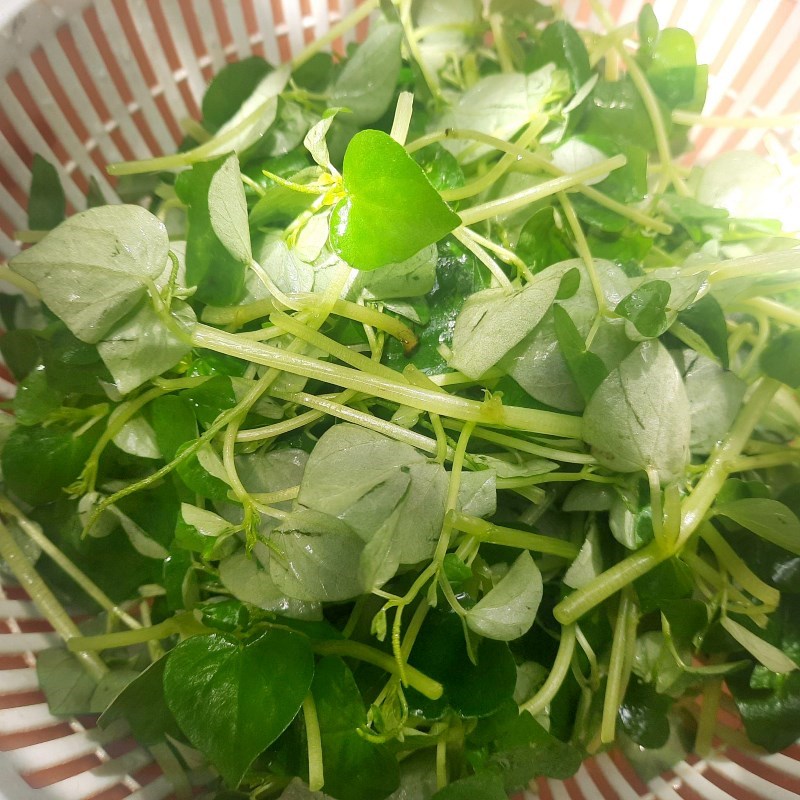 Step 1 Prepare the ingredients for the water spinach mixed with beef