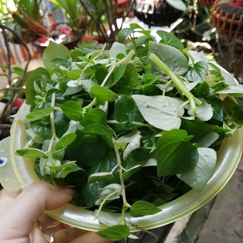 Step 1 Prepare the Ingredients for Water Spinach Salad with Eggs
