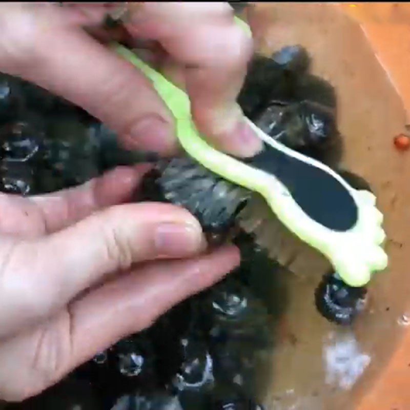 Step 1 Prepare the Apple Snails Steamed Snails with Lemongrass and Coconut Milk