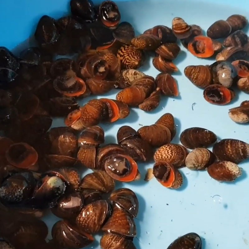 Step 1 Prepare Coconut Snails Stir-Fried with Butter