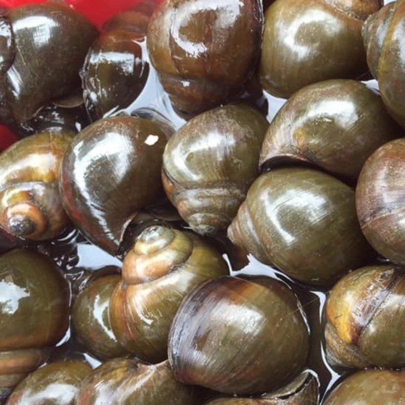 Step 1 Prepare the snails Steamed snail with lemongrass and sweet fish sauce