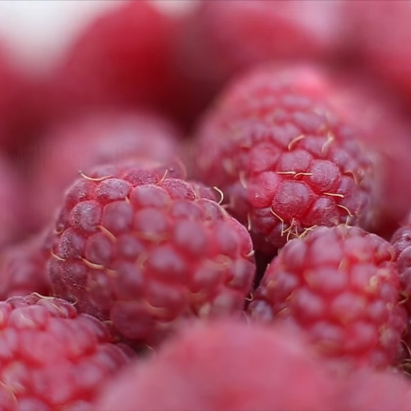 Step 1 Prepare the raspberries Raspberry Juice