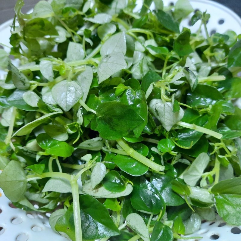 Step 2 Prepare water lily Chicken salad with water lily
