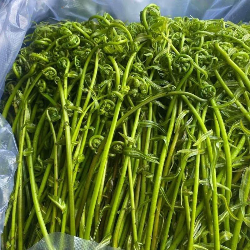Step 1 Prepare choai vegetables Stir-fried choai vegetables with garlic