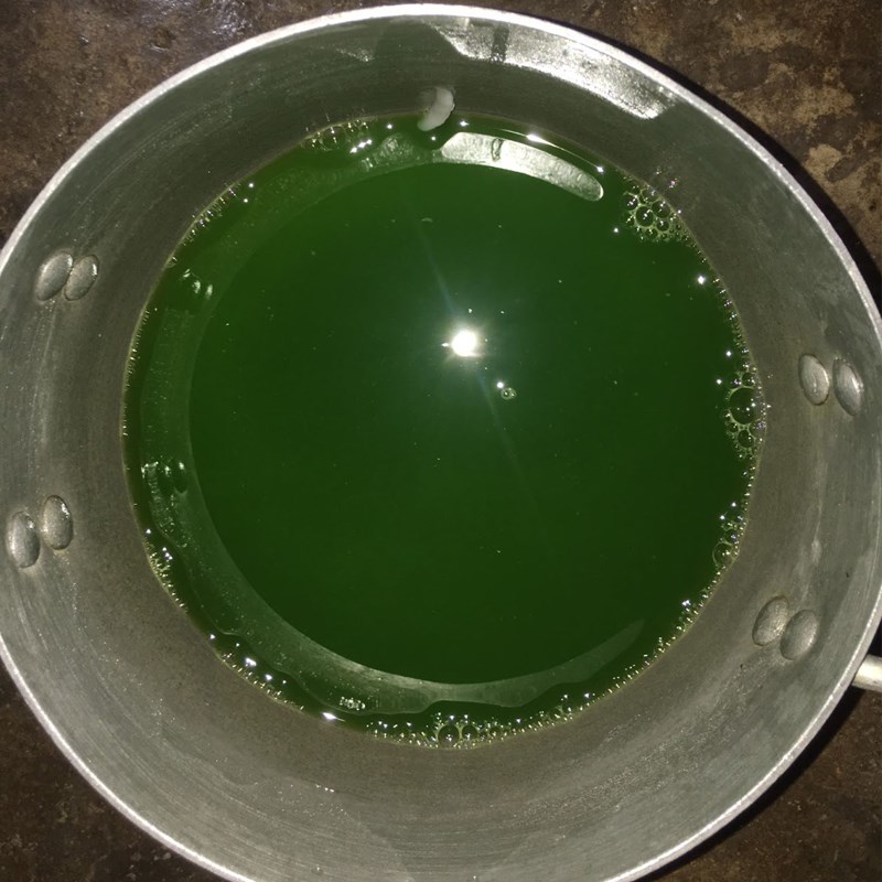 Step 1 Prepare and Blend Pandan Leaves for Pandan Jelly