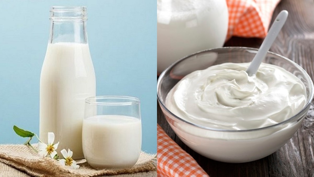 Ingredients for unsweetened yogurt dish