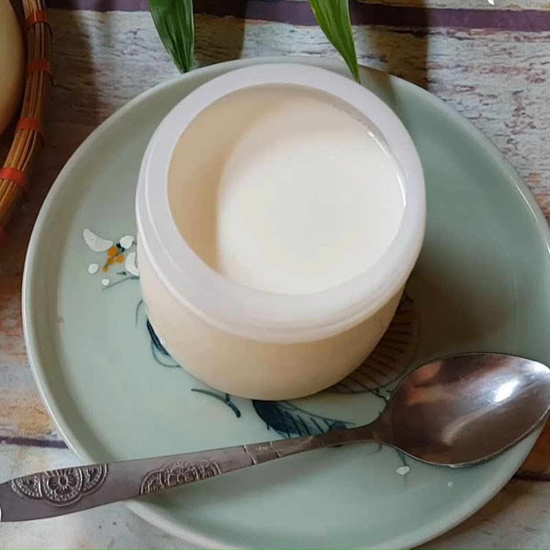 Step 5 Final Product Unsweetened Yogurt