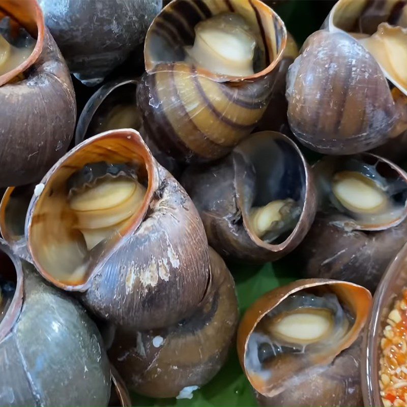 Step 5 Final Product Steamed snail with lemongrass and spicy fish sauce