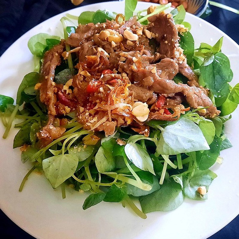 Step 4 Final product of water mimosa salad with beef