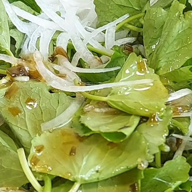 Step 4 Mixing the salad Vegan watercress salad with beef slices