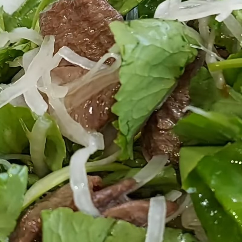 Step 4 Mixing the salad Vegan watercress salad with beef slices