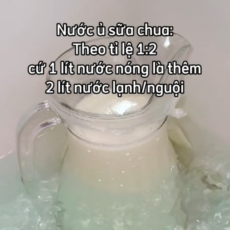 Step 2 Incubating yogurt Green sticky rice yogurt (Recipe shared from Tiktok Cooking with TasteVN)