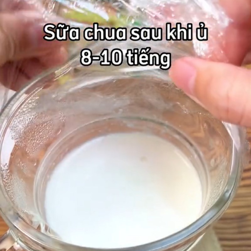Step 2 Incubating yogurt Green sticky rice yogurt (Recipe shared from Tiktok Cooking with TasteVN)