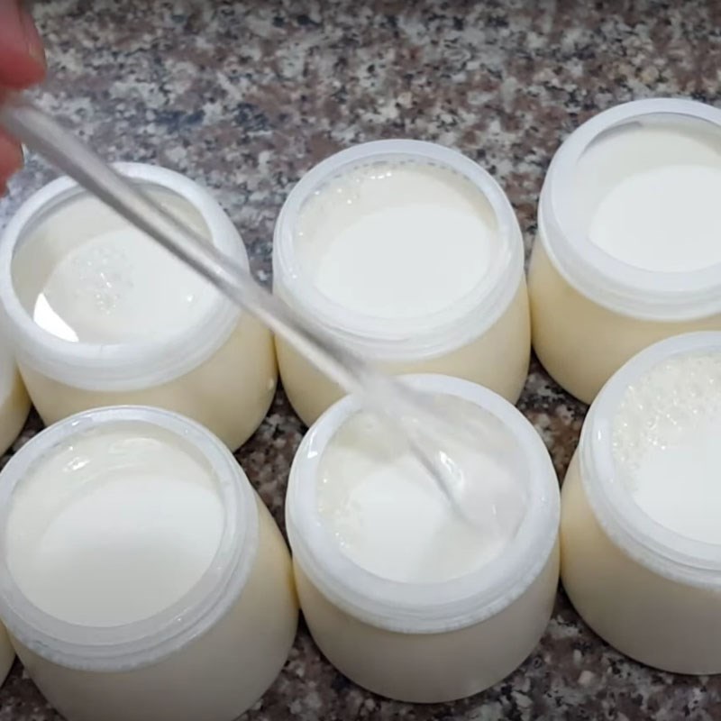 Step 3 Yogurt Fermentation Sugar-free Yogurt