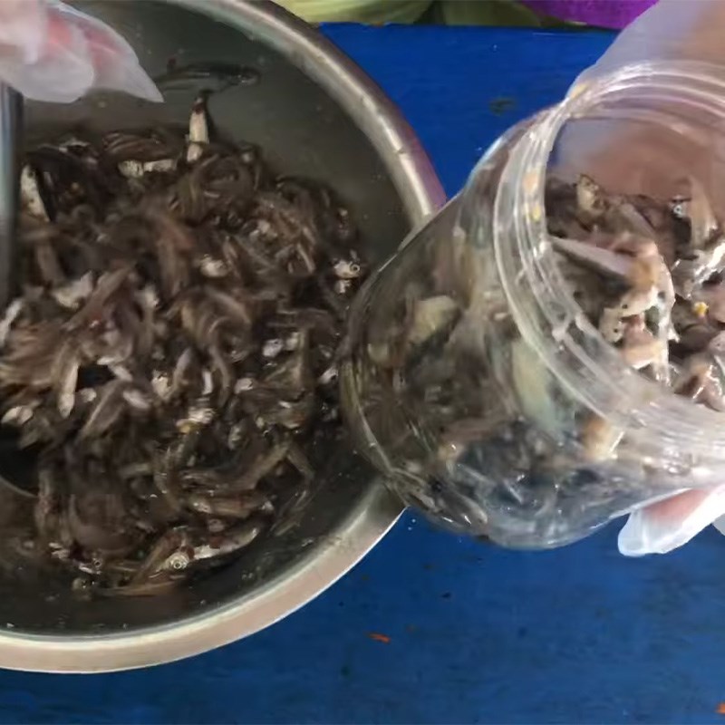 Step 3 Ferment the fish sauce