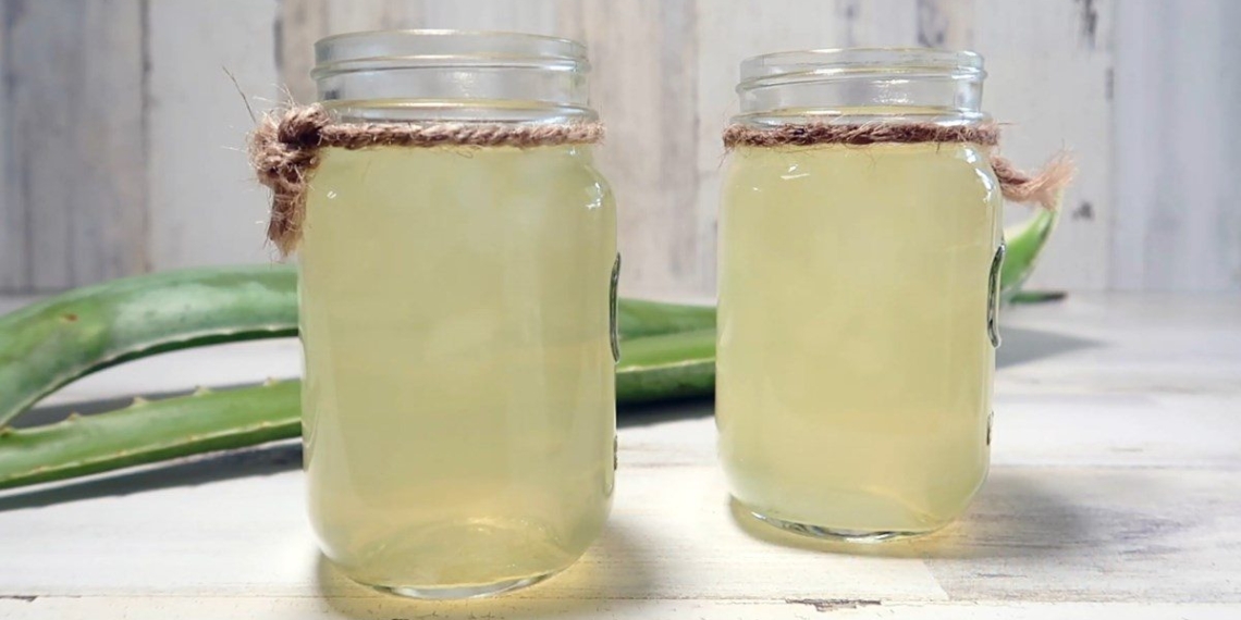 ways to make honey glazed aloe vera water for cooling and beautifying skin 13656