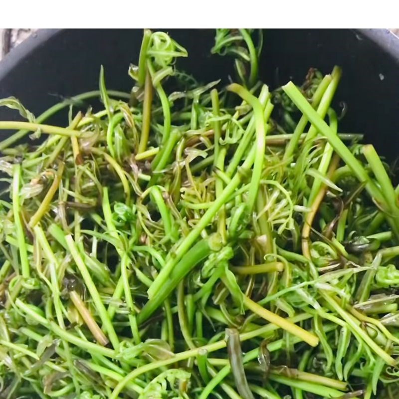 Step 3 Stir-fry the choai shoots with garlic Fried choai shoots with garlic