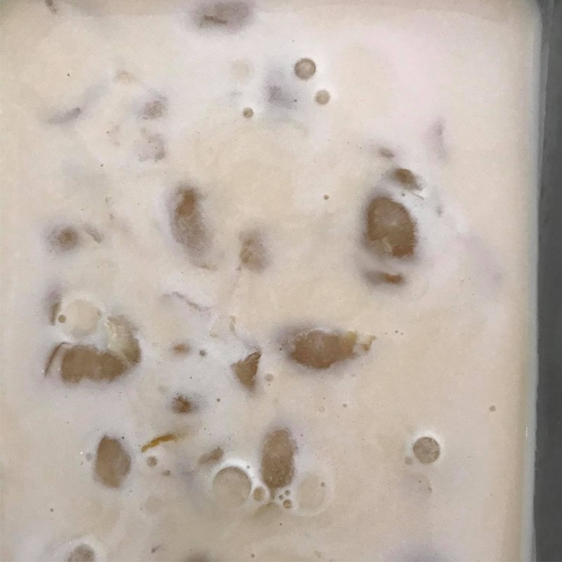 Step 3 Blend the longan ice cream mixture