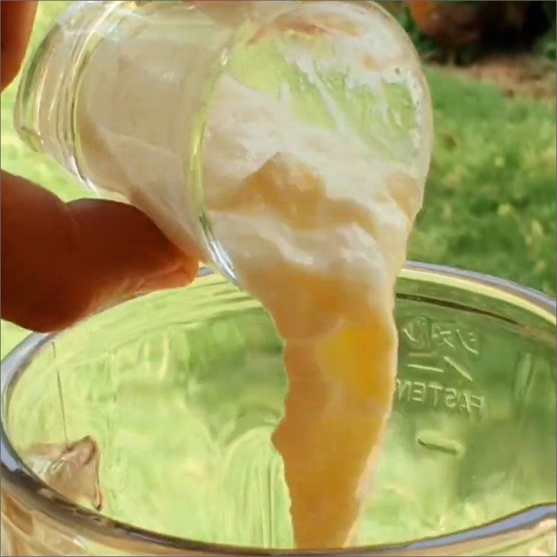 Step 2 Blend the mixture of ingredients for Peach Plum Smoothie