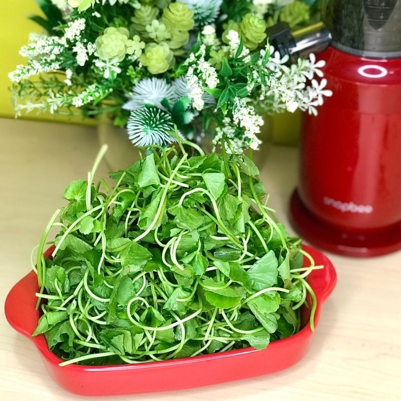 Step 1 Prepare malabar spinach Malabar spinach juice using a slow juicer