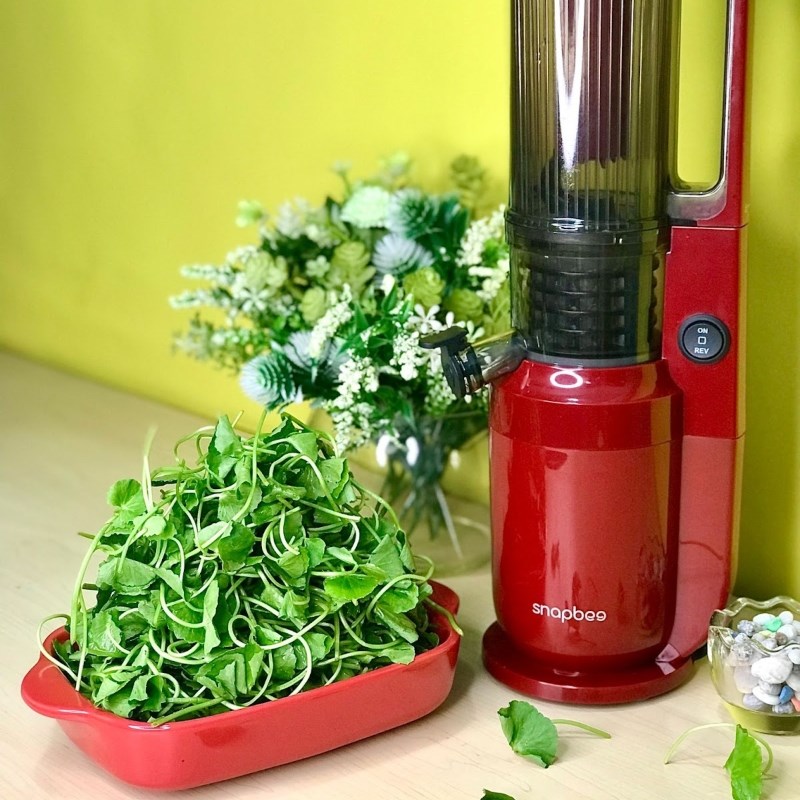Step 1 Prepare malabar spinach Malabar spinach juice using a slow juicer