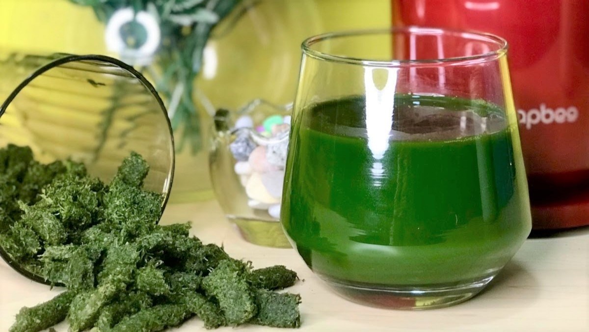 Pennywort juice using a slow juicer