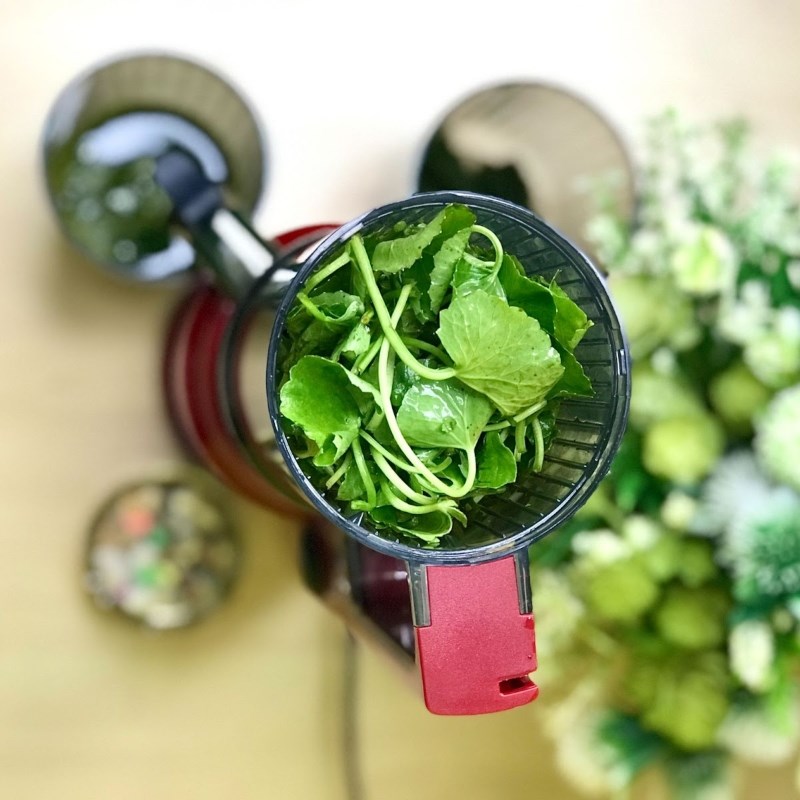 Step 2 Make malabar spinach juice Malabar spinach juice using a slow juicer