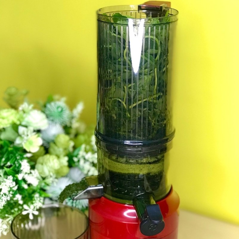 Step 2 Make malabar spinach juice Malabar spinach juice using a slow juicer