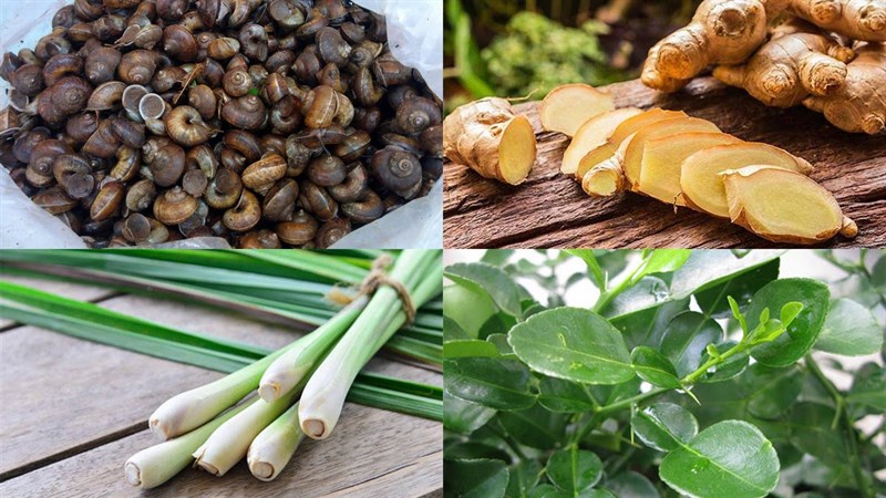 Ingredients for bitter snail dish steamed with lemongrass