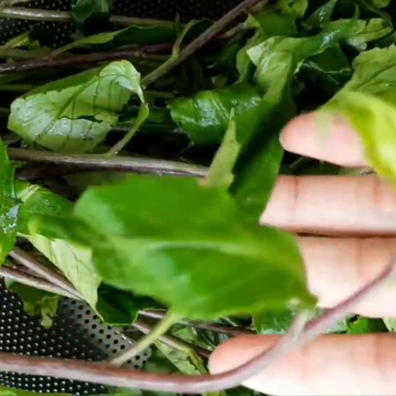 Step 1 Pick wild spinach Stir-fried wild spinach with garlic