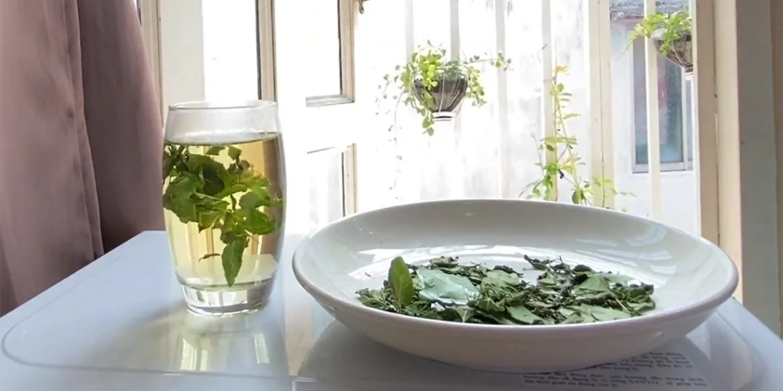 3 ways to make bac ha tea for easy weight loss drink 12788
