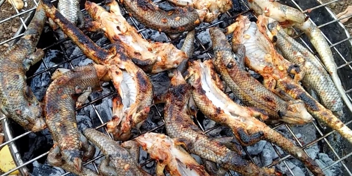3 ways to make delicious grilled fried snacks 22251