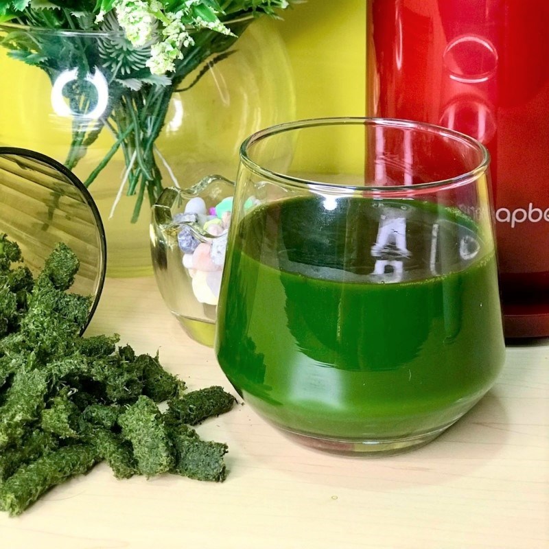 Step 3 Finished Product of Pennywort Juice using a slow juicer